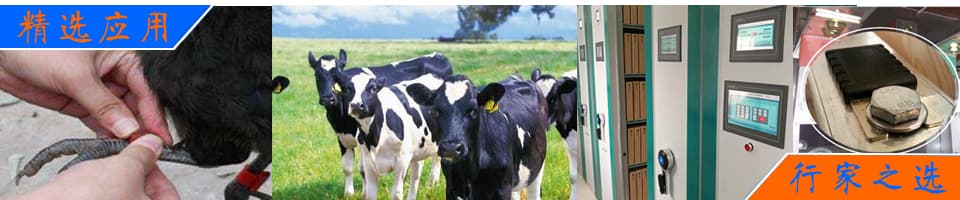 高溫活化特性：專用于單組份體系的封閉型叔胺類催化劑8154，精確控制固化時(shí)間